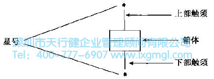 如何进行结构树与箱图分析