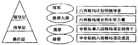 六西格玛管理的组织成员介绍