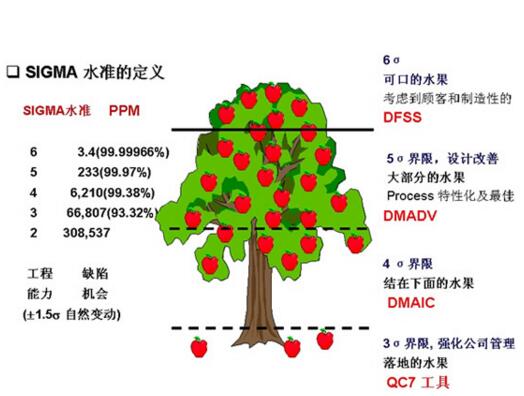 6 sigma管理实施基本的持续改进战略