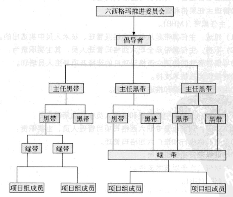 六西格玛组织中各位置所担当的角色