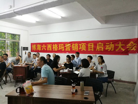 中山博海六西格玛营销项目启动