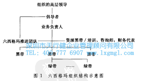 六西格玛管理评价准则的术语和定义