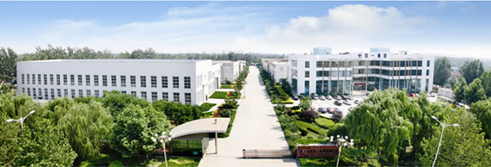 山东双一集团有限公司