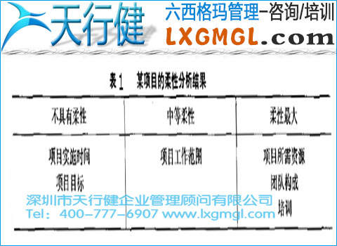 六西格玛项目监控措施和方法