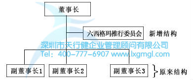 什么是六西格玛的组织战略