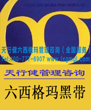六西格玛黑带培训的重要性(详细版) 六西格玛黑带培训的重要性(详细版)