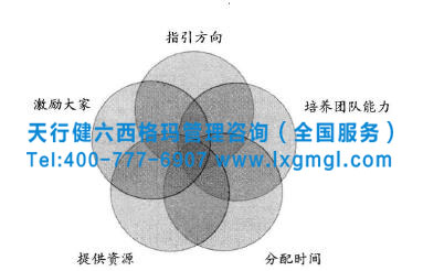 六西格玛组织业务部门中的项目框架结构