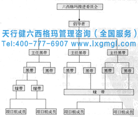 六西格玛组织中各位置所担当的角色