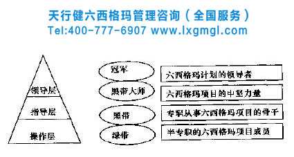 六西格玛管理团队组织模式创新