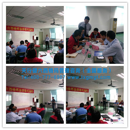 六西格玛倡导者培训