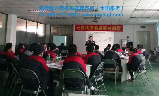 六西格玛高层倡导培训