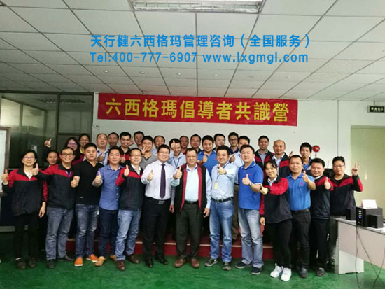 六西格玛倡导培训