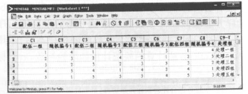 Minitab工作表窗口按配伍组随机产生的编号 Minitab快速实现实验对象的随机分组